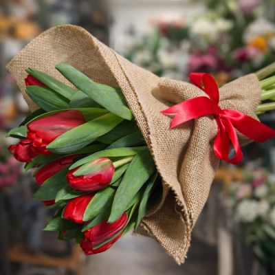 Discover Elegant Tulps Kissonerga Contact Us Today