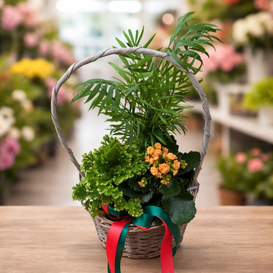 Exquisite Romantic Flower Gifts in Paphos