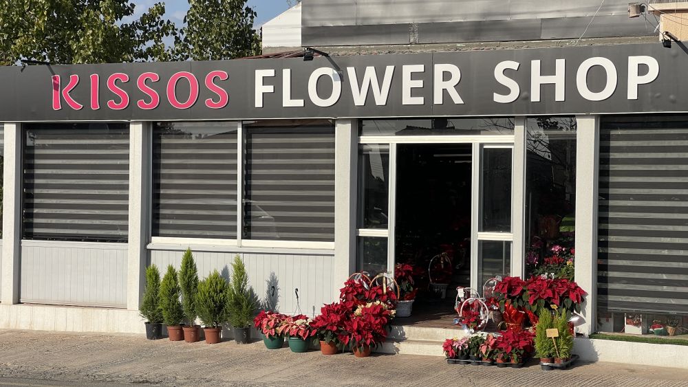 exquisite-cactus-arrangements-paphos-unique-floral-creations