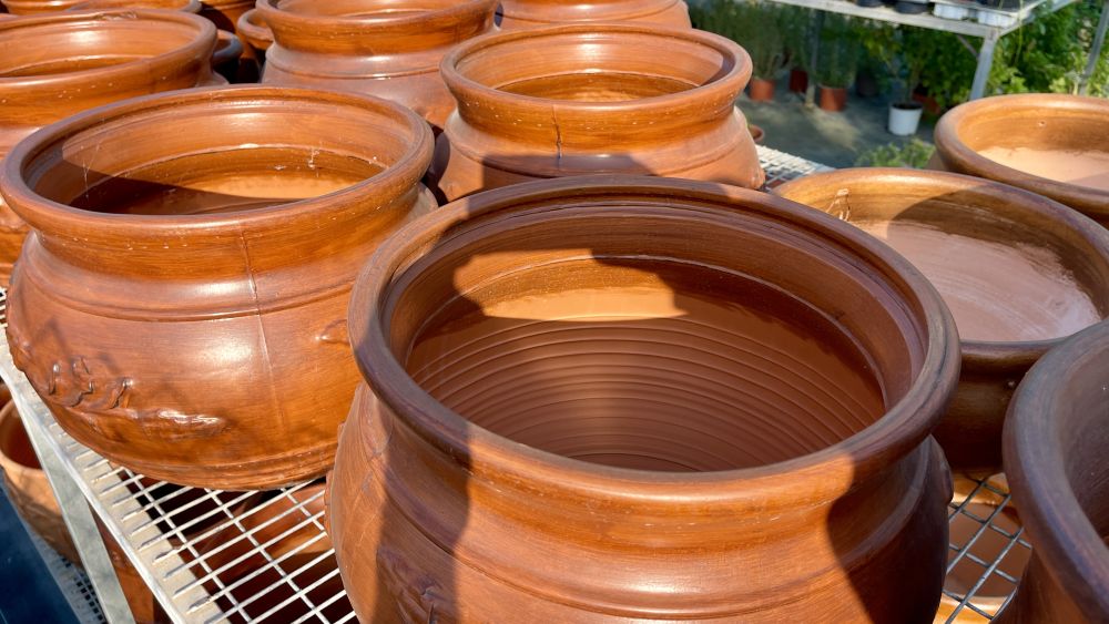 stylish-outdoor-plant-design-empa-enhance-your-outdoor-space