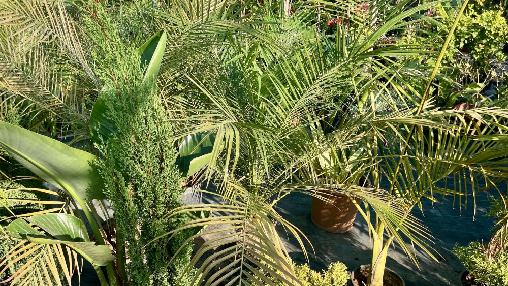 artistic-floral-styling-sea-caves-express-your-style